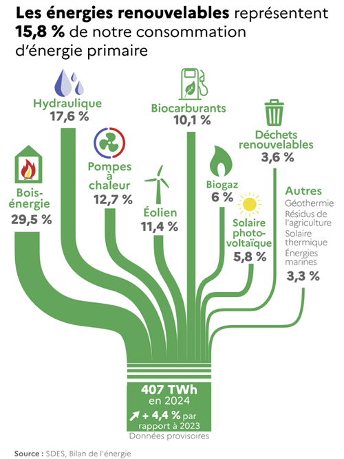 Répartition des différentes sources d'EnR en consommation d'énergie primaire