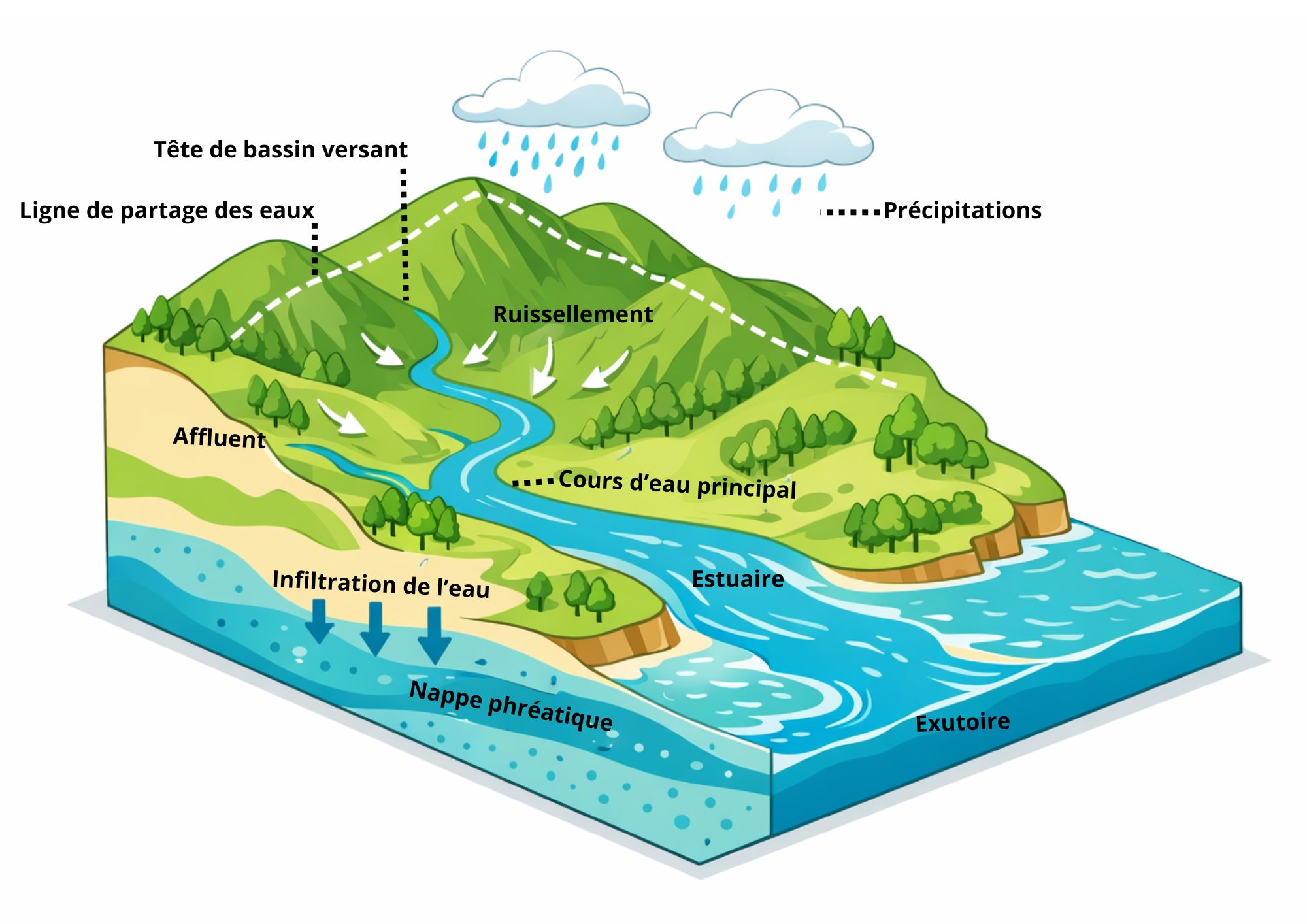 Schéma bassin versant - EAU - FNCCR